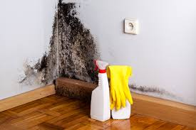 Best Mold Prevention Services  in Greensboro, NC